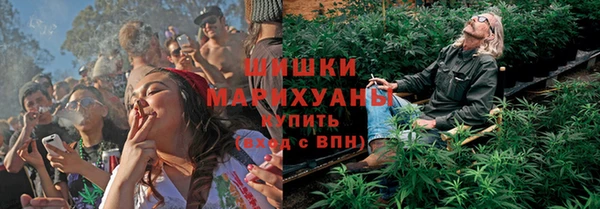 spice Володарск